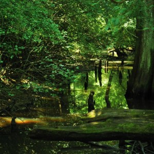 Yockanookany River